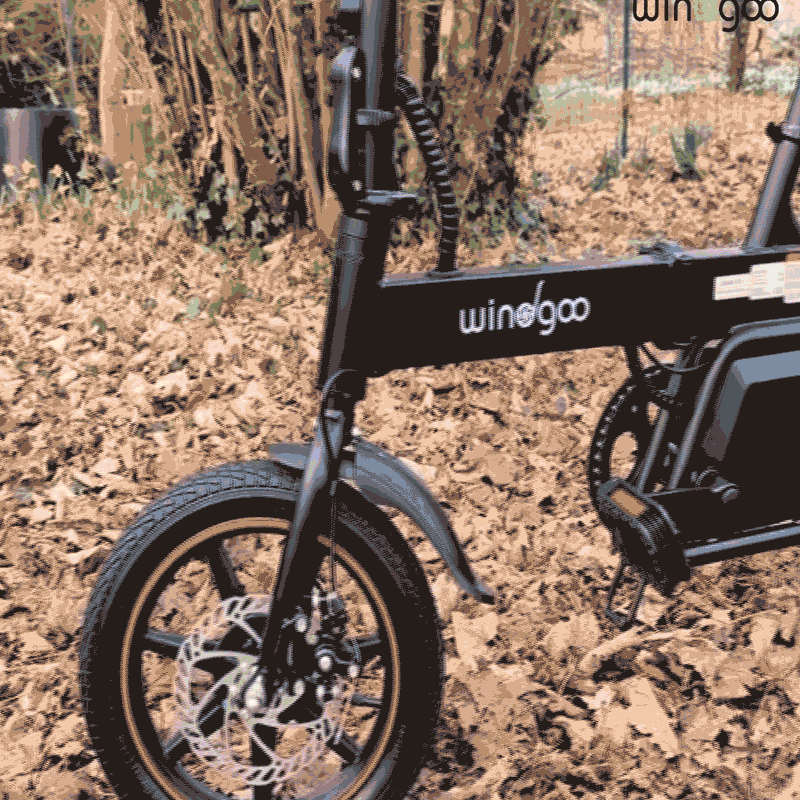 Windgoo B20